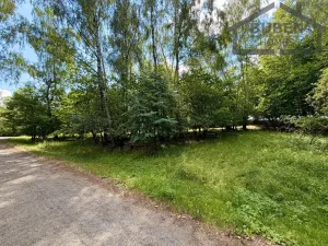 Prodej pozemku pro bydlení, Planá - Kříženec, 4165 m2