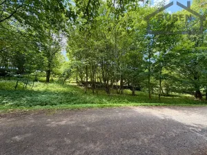 Prodej pozemku pro bydlení, Planá - Kříženec, 4165 m2