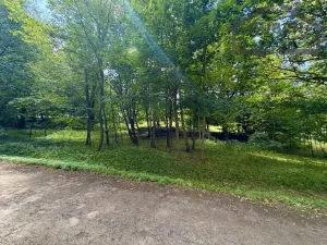 Prodej pozemku pro bydlení, Planá - Kříženec, 4165 m2