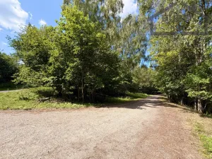 Prodej pozemku pro bydlení, Planá - Kříženec, 4165 m2