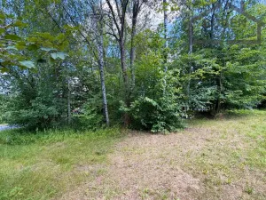 Prodej pozemku pro bydlení, Planá - Kříženec, 4165 m2