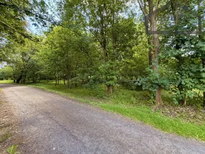 Prodej pozemku pro bydlení, Planá - Kříženec, 4165 m2