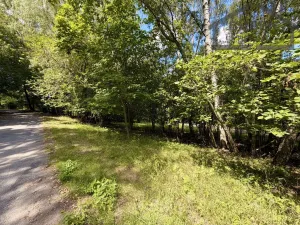 Prodej pozemku pro bydlení, Planá - Kříženec, 4165 m2