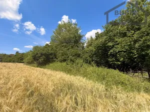 Prodej pozemku pro bydlení, Planá - Kříženec, 4165 m2