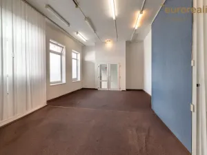 Prodej vícegeneračního domu, Sokolov, U Divadla, 360 m2