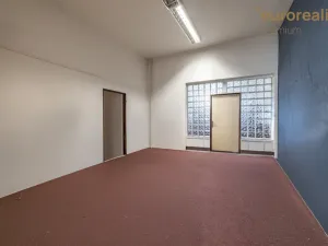 Prodej vícegeneračního domu, Sokolov, U Divadla, 360 m2