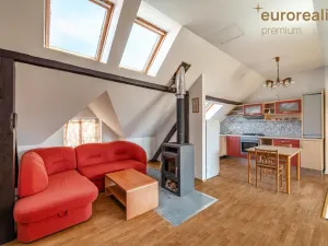 Prodej vícegeneračního domu, Sokolov, U Divadla, 360 m2