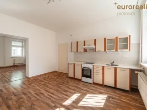 Prodej vícegeneračního domu, Sokolov, U Divadla, 360 m2