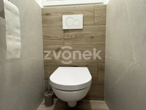 Pronájem bytu 2+1, Zlín, M. Knesla, 56 m2