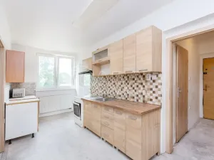 Prodej bytu 3+1, Jistebnice - Ostrý, 55 m2