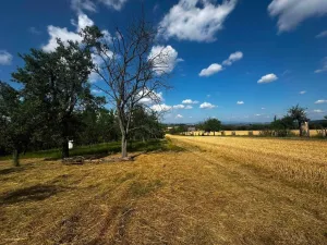 Prodej zahrady, Rataje, 668 m2
