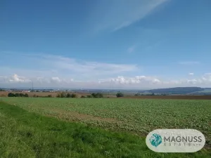 Prodej zahrady, Rataje, 668 m2
