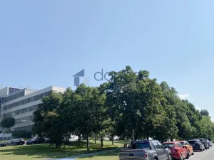 Pronájem bytu 2+kk, Praha, Velvarská, 38 m2