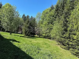 Prodej chalupy, Vysoké nad Jizerou, 86 m2