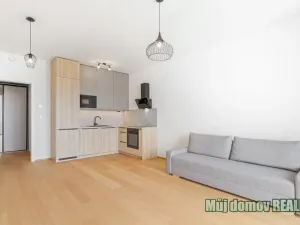 Pronájem bytu 1+kk, Praha - Hrdlořezy, V třešňovce, 40 m2