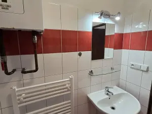 Prodej bytu 1+1, Borotín, 47 m2