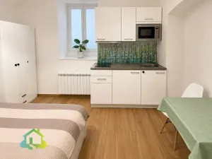Pronájem bytu 1+kk, Praha - Nové Město, Washingtonova, 25 m2