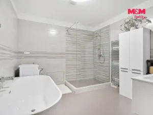 Pronájem bytu 2+kk, Mladá Boleslav - Mladá Boleslav I, Železná, 81 m2