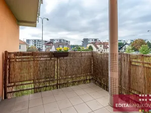 Pronájem bytu 1+kk, Olomouc, Handkeho, 43 m2