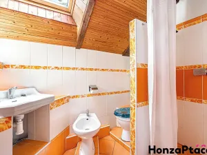 Prodej rodinného domu, Borová, 244 m2