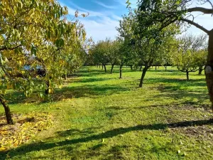 Prodej rodinného domu, Bříza, 164 m2