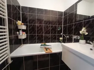 Pronájem bytu 2+1, Ostrava, Francouzská, 55 m2