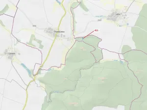 Dražba lesa, Chotěbudice, 1979 m2