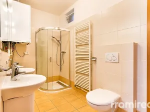 Pronájem bytu 4+kk, Brno, Helfertova, 106 m2
