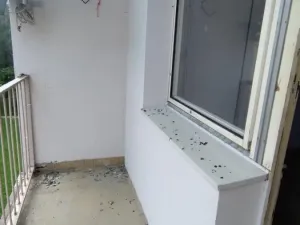 Pronájem bytu 1+kk, Jeseník, Horská, 25 m2