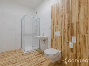 Prodej bytu 2+kk, Přerov - Přerov I-Město, Husova, 39 m2