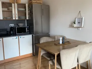 Pronájem bytu 2+kk, Opava, Krnovská, 57 m2