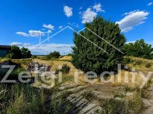 Prodej komerčního pozemku, Strachotín, Palavská, 2465 m2