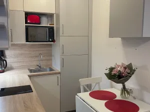 Pronájem bytu 1+kk, Přezletice, 35 m2