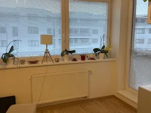 Pronájem bytu 1+kk, Přezletice, 35 m2