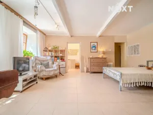 Prodej vícegeneračního domu, Lhenice, Netolická, 335 m2