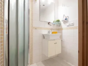 Prodej vícegeneračního domu, Lhenice, Netolická, 335 m2