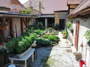 Prodej rodinného domu, Dobřany, Lipová, 141 m2