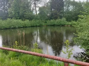 Prodej apartmánu, Písařov - Bukovice, 520 m2