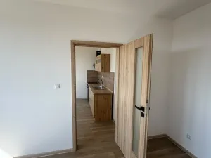 Pronájem bytu 1+1, Chomutov, Pod Břízami, 36 m2