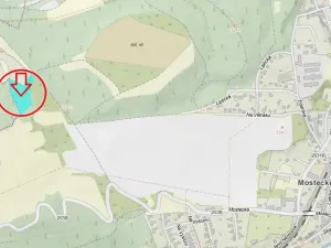 Prodej podílu lesa, Bílina, 2704 m2