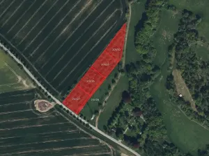 Prodej pole, Svojšice, 11492 m2