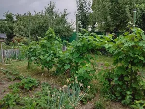 Prodej chaty, Kladno, U Trati, 20 m2