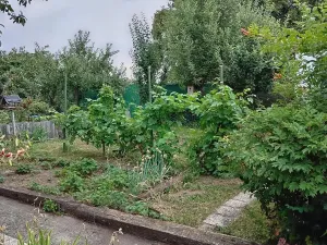 Prodej chaty, Kladno, U Trati, 20 m2