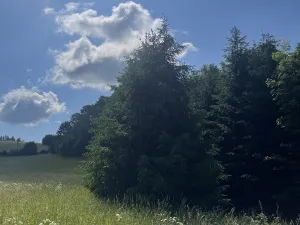 Prodej chalupy, Štíty, Na Pile, 141 m2