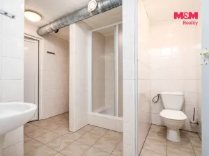 Prodej rodinného domu, Horní Třešňovec, 847 m2