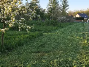 Prodej pozemku pro bydlení, Bartošovice, 1156 m2
