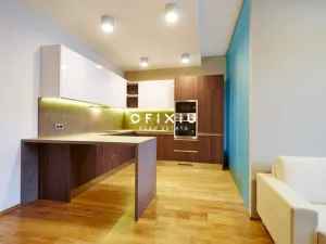 Pronájem bytu 2+kk, Brno - Brno-město, Jakubská, 82 m2