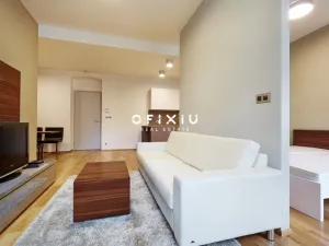 Pronájem bytu 2+kk, Brno - Brno-město, Jakubská, 82 m2