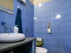 Prodej rodinného domu, Kolín, Veltrubská, 411 m2