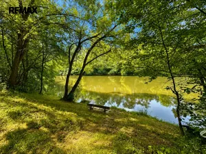 Prodej rybníku, Dačice, 25771 m2